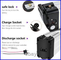 Silver fish 2 pin 36V 10Ah ebike Lithuim Battery Electric Bicycle 350W 250W 500W
