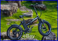 Snow Electric Bike Fat Tire 36V 10AH Lithium Battery 350W Motor Foldable 20'