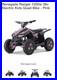 Storm_Quad_Bike_Electric_Motor_36V_1000W_E_bike_01_rlfs