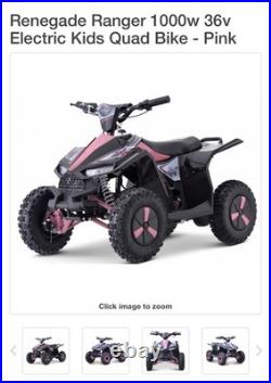 Storm Quad Bike Electric Motor 36V 1000W E-bike