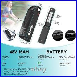 Varstrom 48V16AH Electric Bicycle Battery with 30A BMS 1000+cycles for 48V Motor